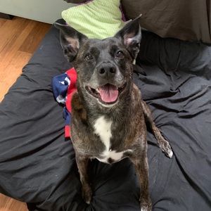 Meet your Posher, Shauna